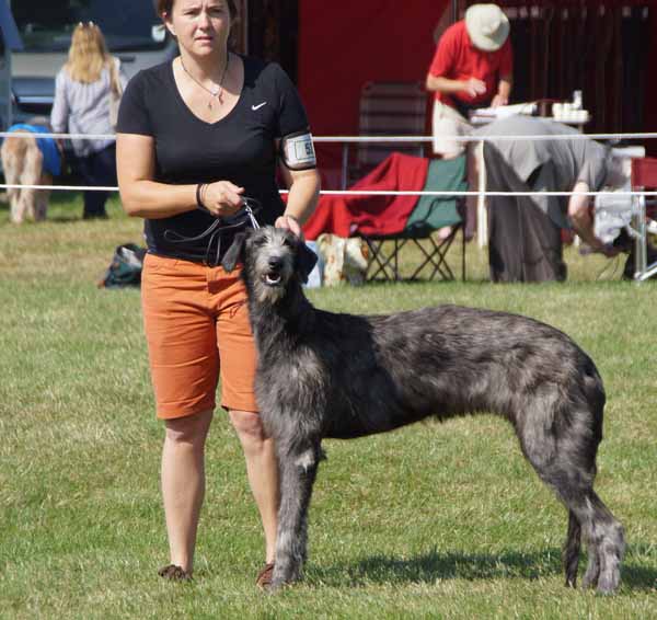 Best Puppies Leeds 2011